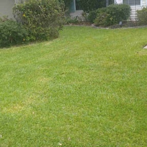 lawn maintenance by Vaquero Hills Landscaping llc. reviewed on September 28, 2023