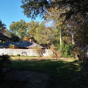 Bush Trimming by Thompson Lawncare reviewed on August 16, 2025