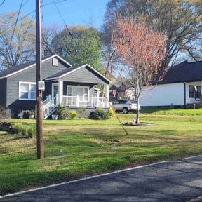 lawn care by David’s Lawn Service reviewed on July 22, 2020