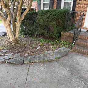 Bush Trimming by DTE Maintenance Llc reviewed on August 16, 2026