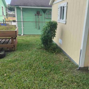 Bush Trimming by Royalty Landscaping reviewed on October 22, 2025