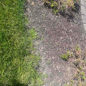 Flower Bed Weeding by Clean works reviewed on June 4, 2026