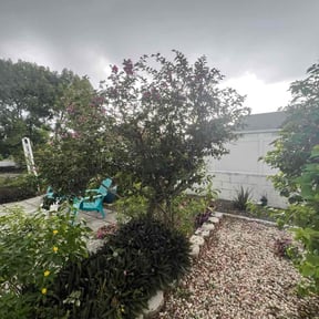 Bush Trimming by The Grass Guy reviewed on November 18, 2025