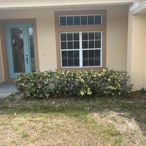 Bush Trimming by Gio Landscaping reviewed on August 16, 2025