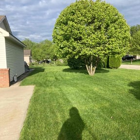 yard maintenance by Stars & Stripes Lawn Care reviewed on August 13, 2025
