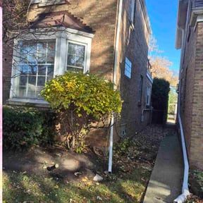 Bush Trimming by Ninja Landscaping reviewed on October 20, 2025