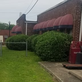 Bush Trimming by BMP reviewed on August 17, 2025