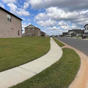 yard work by Landscape Groomers,LLC reviewed on December 17, 2025