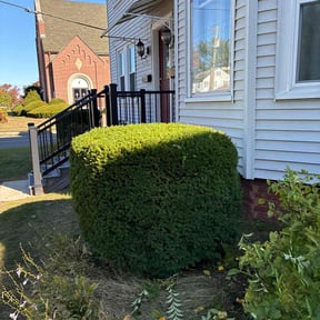 Bush Trimming by Eric’s Lawn Care reviewed on November 7, 2025