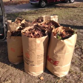 Leaf Removal by GT Custom Renovations LLC reviewed on August 19, 2025