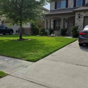 gardening service by Cruz Crewz LLC reviewed on November 28, 2025