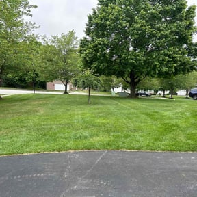 yard service by Theee A&#039;S landscaping reviewed on November 20, 2025