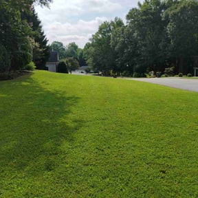 yard care by Jacob Lea reviewed on August 18, 2025