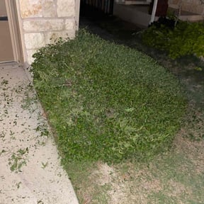Flower Bed Weeding by Chefs cut lawncare reviewed on August 15, 2025