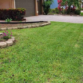 lawn care by Richard Buricca reviewed on May 30, 2025
