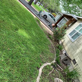 Flower Bed Weeding by Scrub_baller reviewed on August 16, 2025