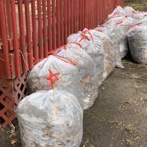 Leaf Removal by Randy&#039;s lawncare reviewed on September 16, 2025