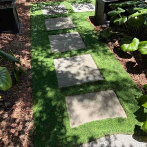 Leaf Removal by Green Horizon Cutz reviewed on July 4, 2026