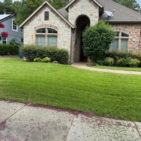 grass maintenance by Patton Lawn Care reviewed on April 17, 2024