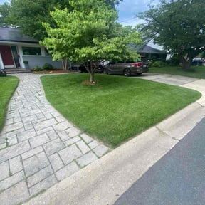 landscaping by Exquisite Lawn &amp; Grounds reviewed on January 29, 2026