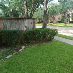 Bush Trimming by Clark Family Lawn Care Plus reviewed on August 19, 2025