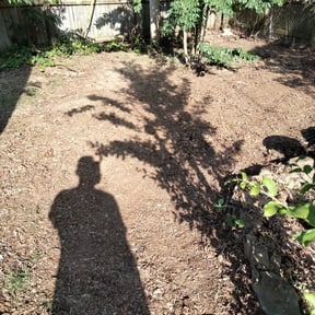 Leaf Removal by Simple Solution Home Services LLC reviewed on September 30, 2025