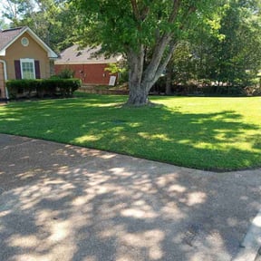 landscaping by Soul City Lawn Care reviewed on August 15, 2025