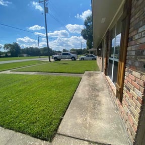 landscaping services by Luxury Finish Lawn care reviewed on August 19, 2025