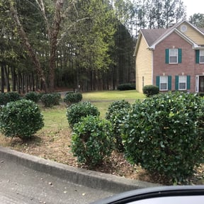 Bush Trimming by ShiftChange LLC Lawn Service reviewed on August 15, 2025
