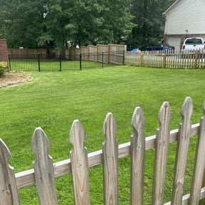 lawn service by SK Services reviewed on August 15, 2025