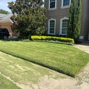 yard maintenance by Elegant Lawn Care reviewed on August 15, 2025