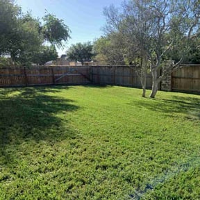 yard service by Green Missions Landscaping LLC reviewed on November 30, 2025