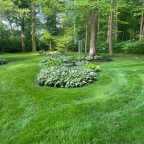gardening service by JBS Services LLC reviewed on August 20, 2025