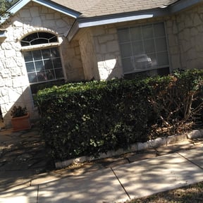 Bush Trimming by Pineda landscaping reviewed on August 20, 2025