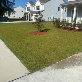 yard maintenance by Burton Lawn Care reviewed on January 27, 2026