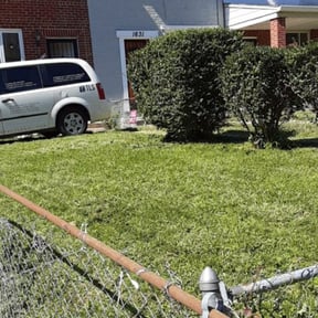 Bush Trimming by Alpha Turf Control reviewed on August 16, 2025