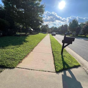 gardening service by Calderon Lawn Service reviewed on March 29, 2024