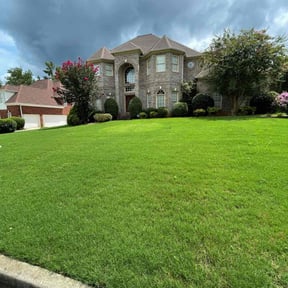 yard work by Alvarado's Lawn Care reviewed on August 20, 2025