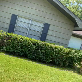 Bush Trimming by Aparicio Lawn Care reviewed on August 21, 2025