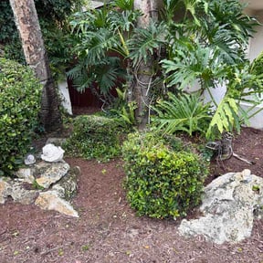 Bush Trimming by Rickey's Landscaping reviewed on June 27, 2026