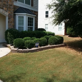 Bush Trimming by Harry's landscape reviewed on August 21, 2025