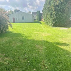 landscape maintenance by Robert Dukes Kut Pro Lawn Maintenance reviewed on August 19, 2025