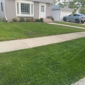 grass cutting by Q Dog landscaping reviewed on July 17, 2025
