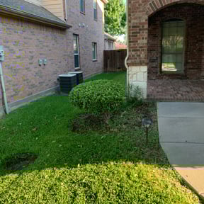 Bush Trimming by Elliott Lawn Care reviewed on August 19, 2025