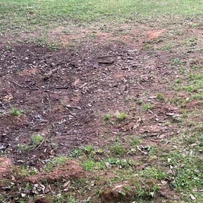 Leaf Removal by Neighborhood Maintenance Services reviewed on September 11, 2025