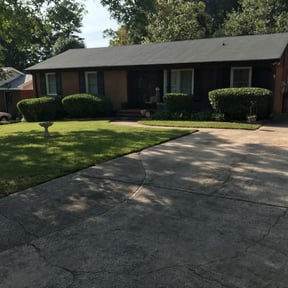 Bush Trimming by Precision landscaping and lawn services reviewed on August 21, 2025