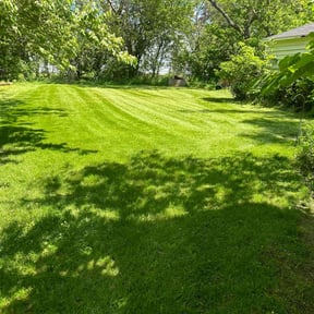 yard care by Untouchable Lawn Care reviewed on August 18, 2025
