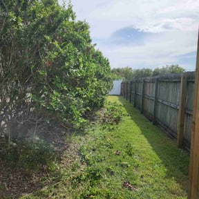 Bush Trimming by Sir Knights Lawn Care reviewed on August 15, 2025