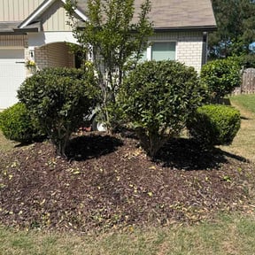 Bush Trimming by Boca Raton Landscaping  Services reviewed on April 23, 2026