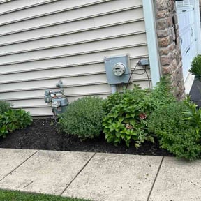 Flower Bed Weeding by The Grassman Lawn Co reviewed on September 12, 2026